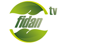 Fidan Tv